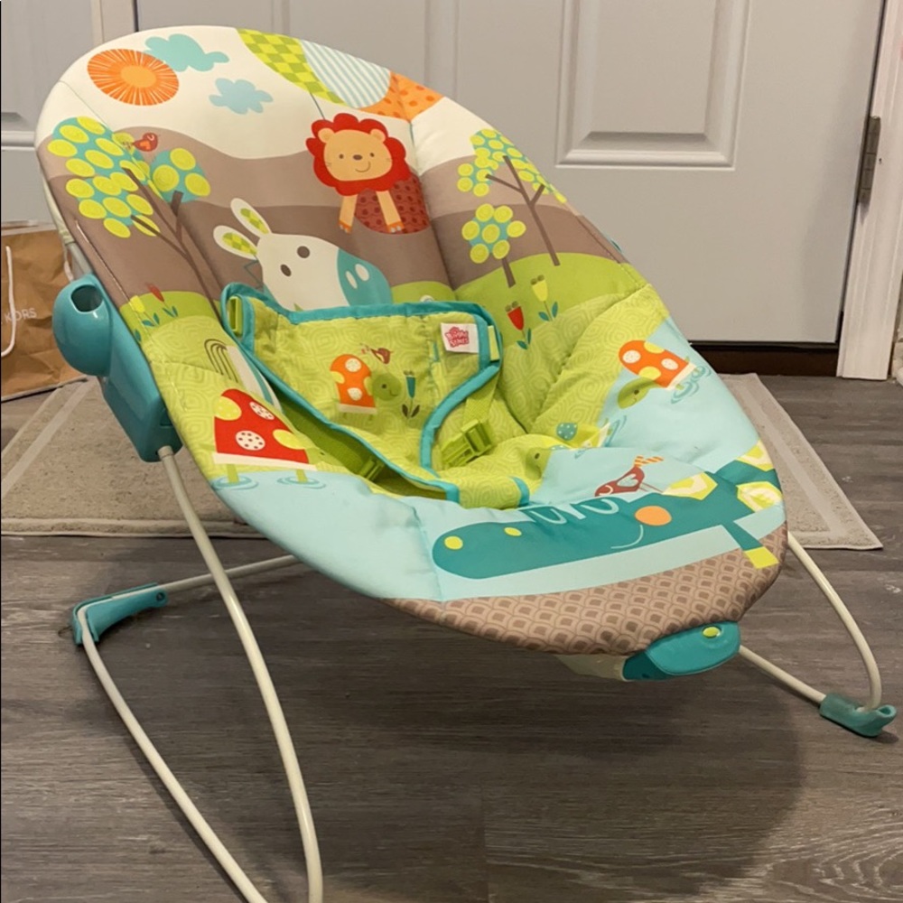 Bright starts baby bouncer